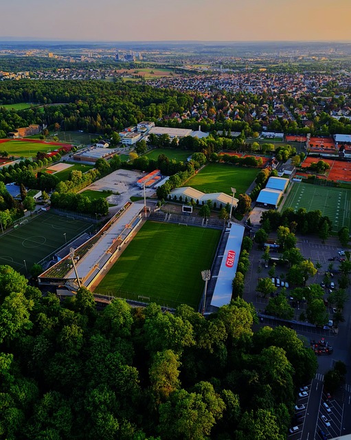 这一乌龙球 这一乌龙球