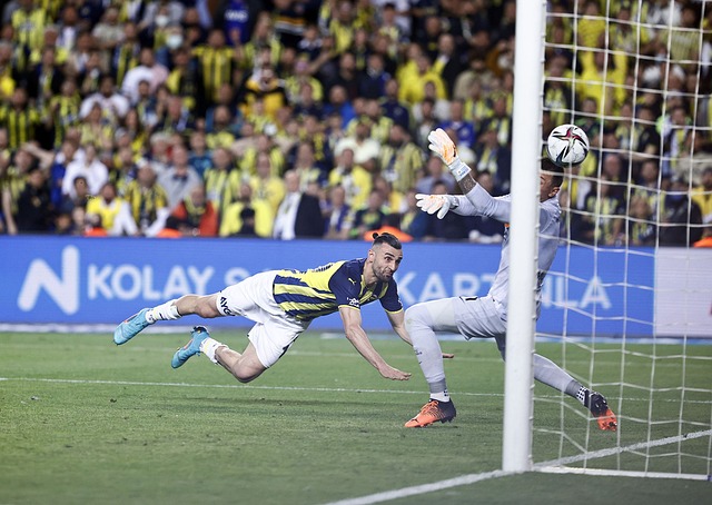 这种行为可 这种行为可