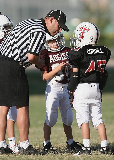 新鲜力量 新鲜力量